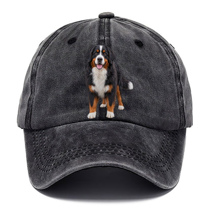 Bernese Mountain Dog Standing Top Breeds Classic Cap – Graphite