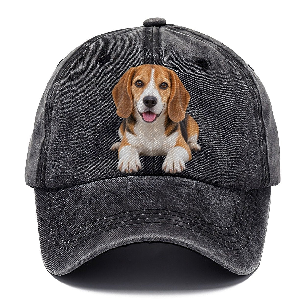 Beagle Lying Down Top Breeds Classic Cap – Graphite