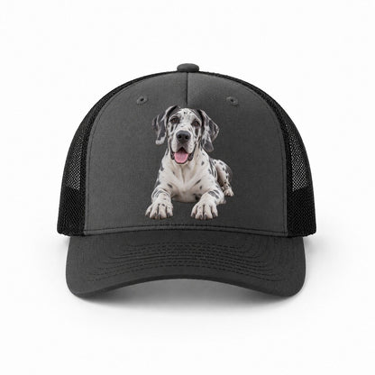 Dark Grey-Black — front view