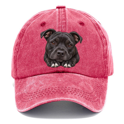 Staffy Paws Beneath Chin Pastimes Companions Classic Cap – Pomegranate Blush
