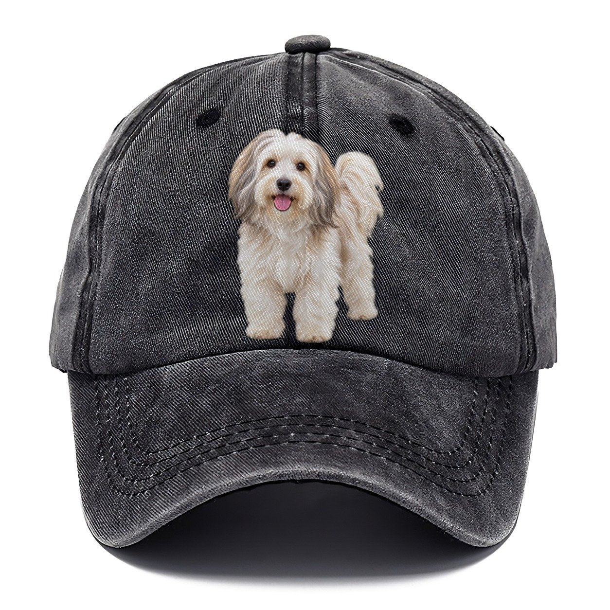 Havanese Standing Top Breeds Classic Cap – Graphite