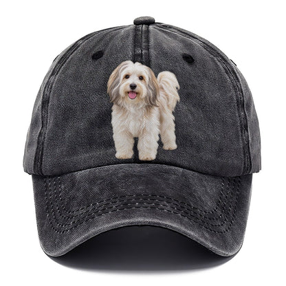 Havanese Standing Top Breeds Classic Cap – Graphite