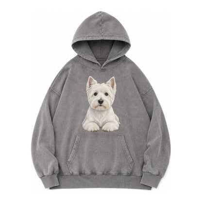 Pickleball Vintage Washed Hoodie – Grey