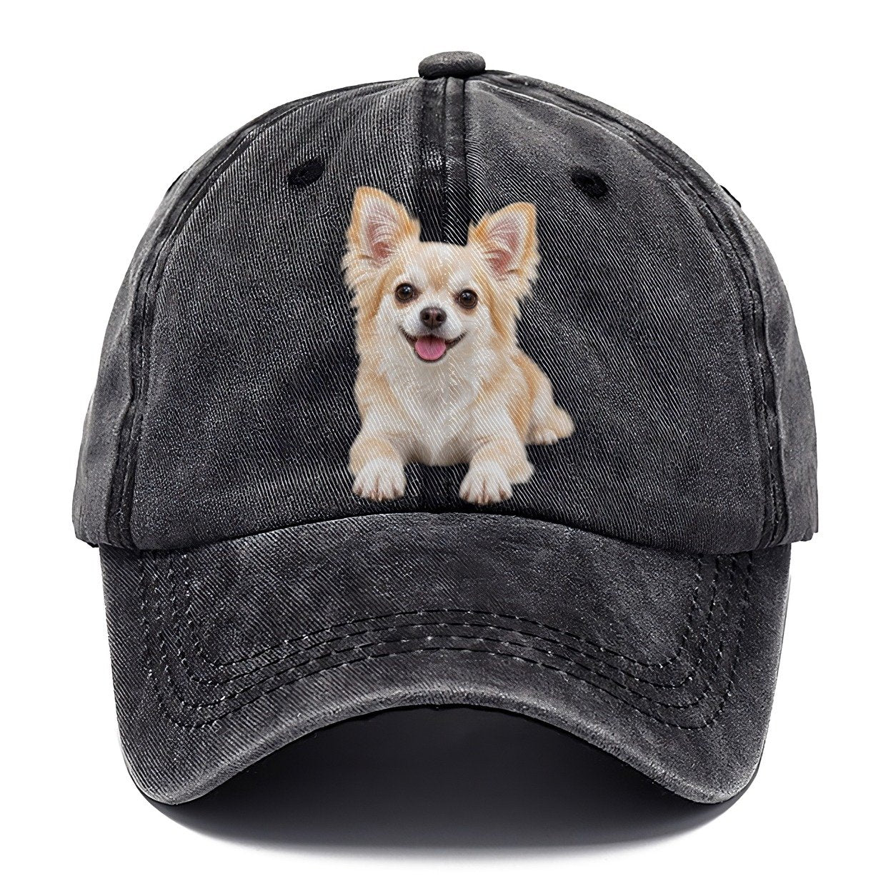 Chihuahua Lying Down Top Breeds Classic Cap – Graphite