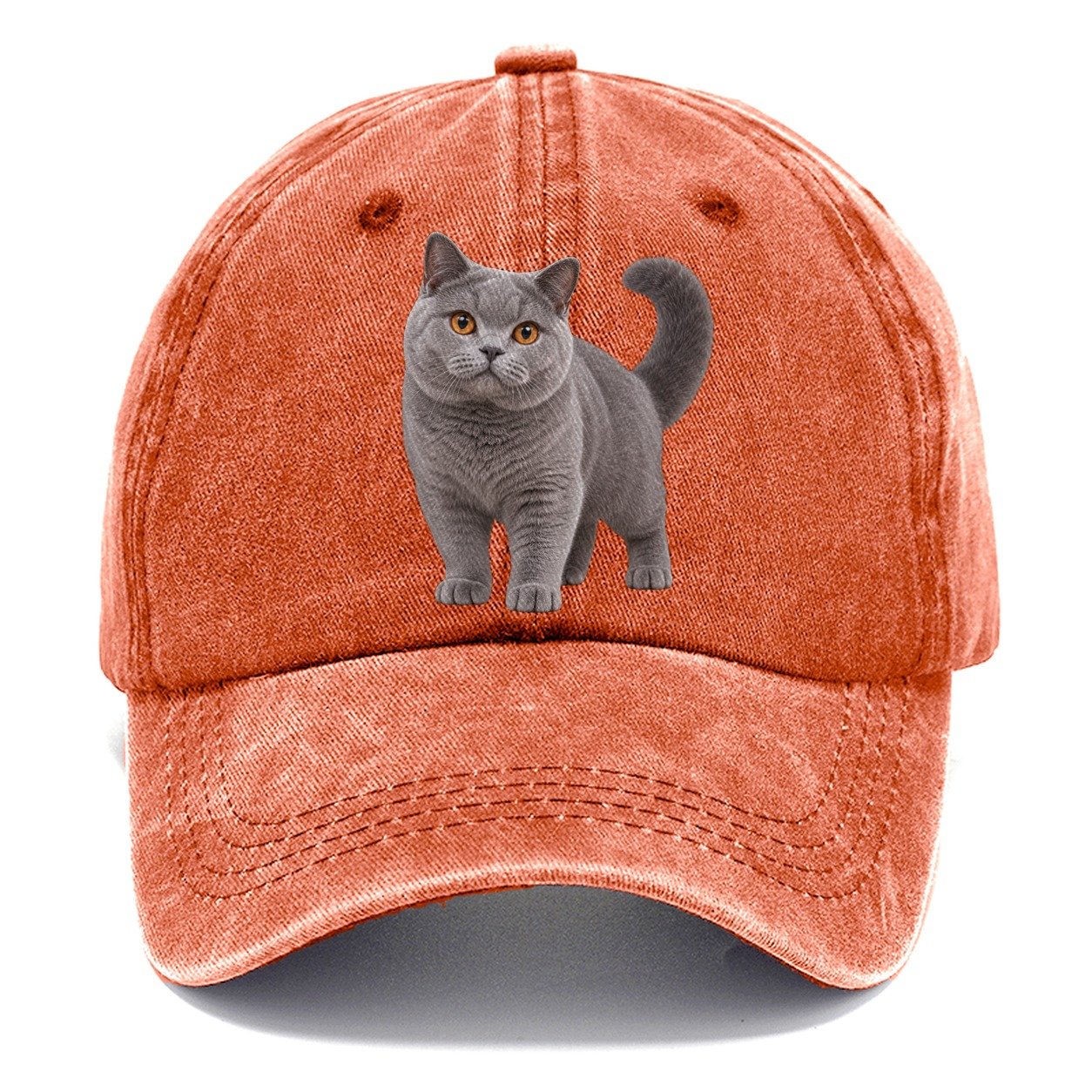 British Shorthair Standing Three Quarter Realistic Cat Portrait Classic Cap – Terracotta Clay