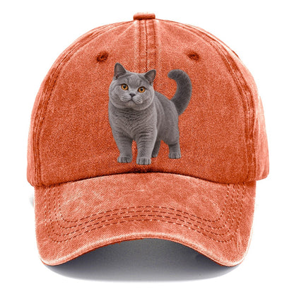 British Shorthair Standing Three Quarter Realistic Cat Portrait Classic Cap – Terracotta Clay