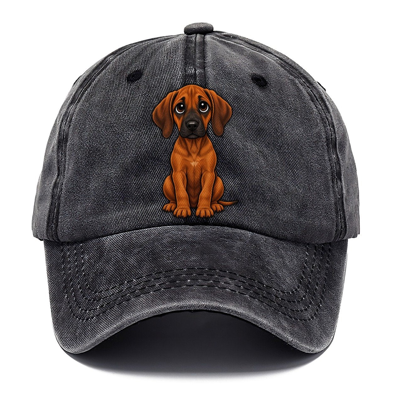 Rhodesian Ridgeback Sitting Sweetheart Classic Cap – Graphite