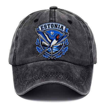 Estonia Retro Badge Country Logos Classic Cap – Graphite