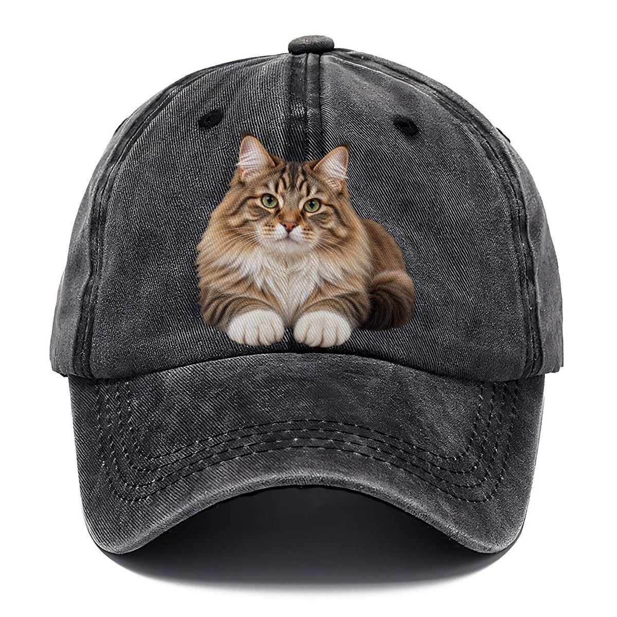 Siberian Reclining Paws Forward Realistic Cat Portrait Classic Cap – Graphite