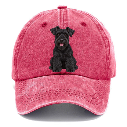 Black Miniature Schnauzer Classic Cap – Pomegranate Blush