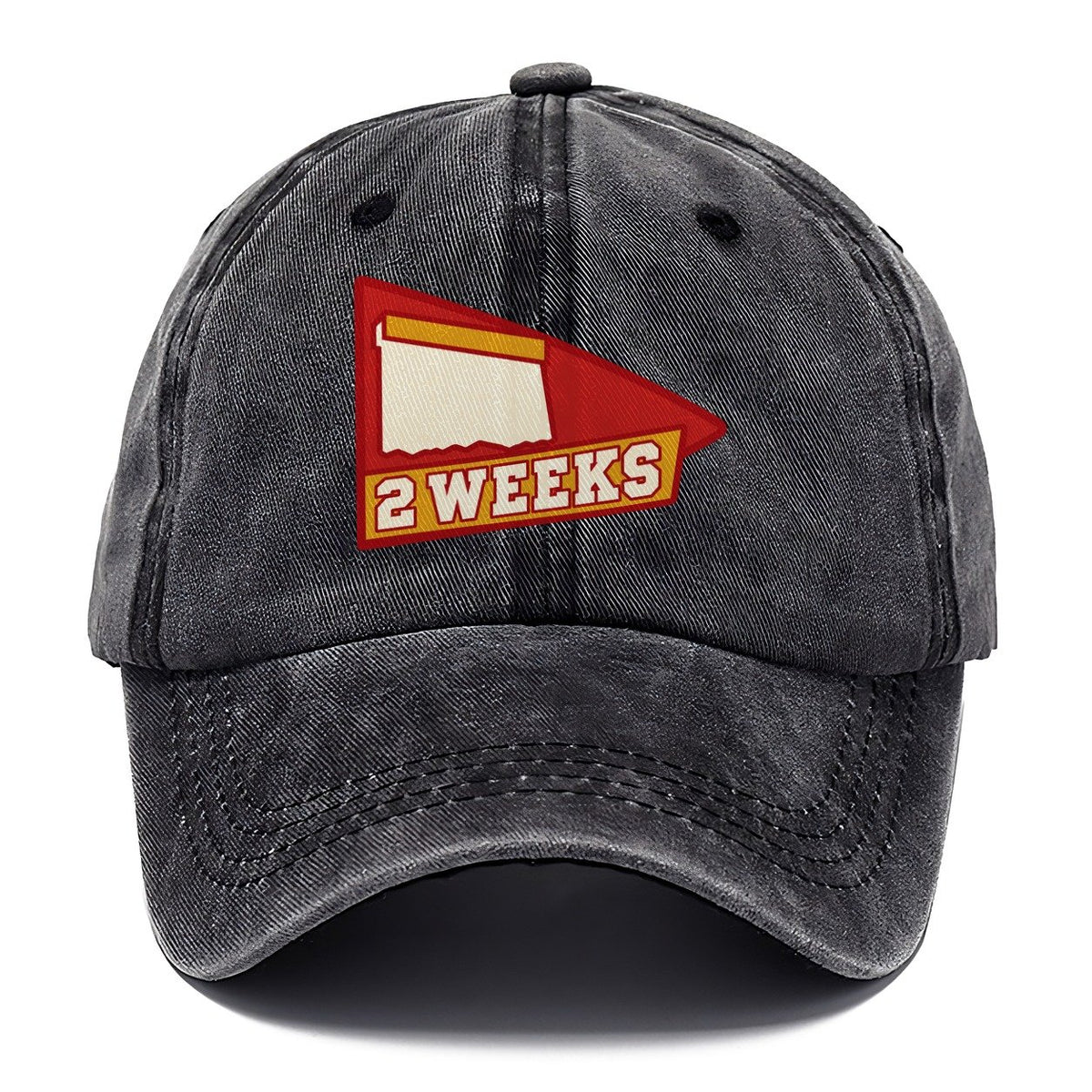 Two Weeks Classic Cap – Graphite