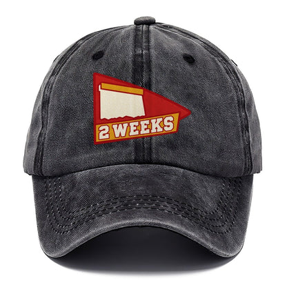 Two Weeks Classic Cap – Graphite