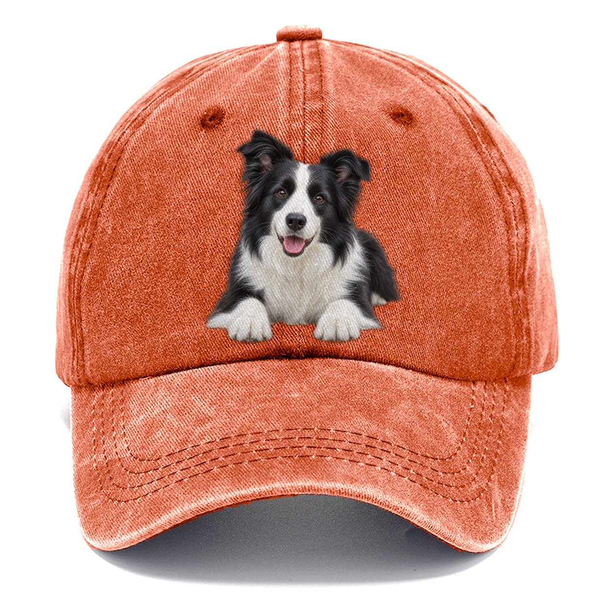 Border Collie Lying Down Top Breeds Classic Cap – Terracotta Clay
