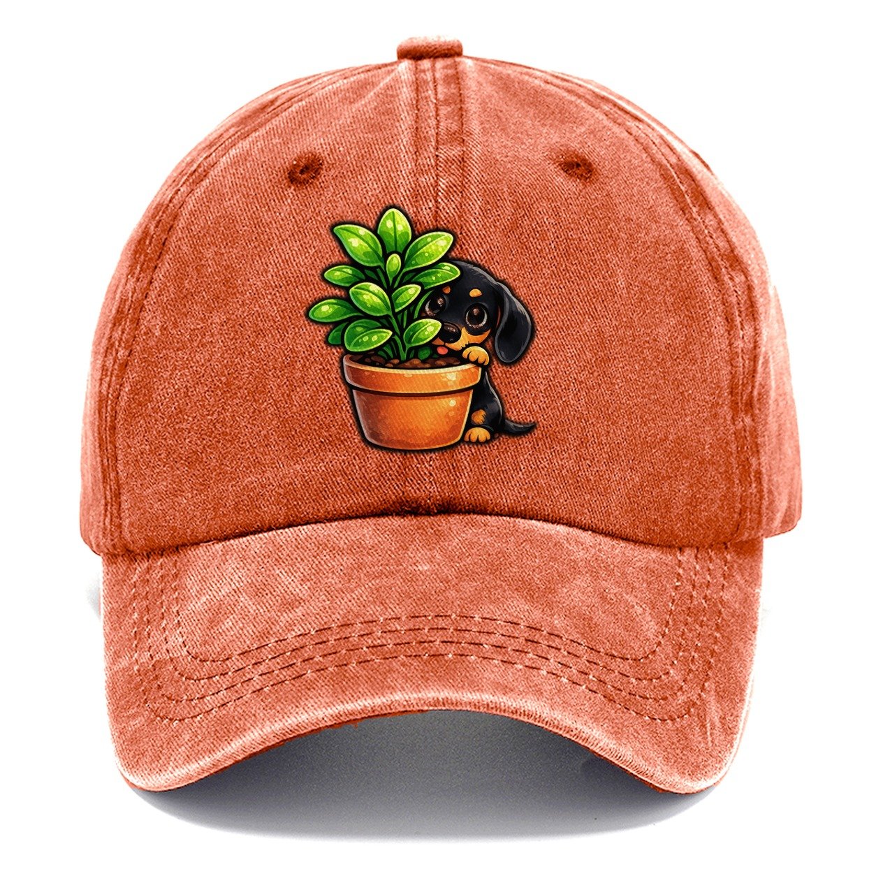 Introvert Dachshund Observing Quietly Classic Cap – Terracotta Clay