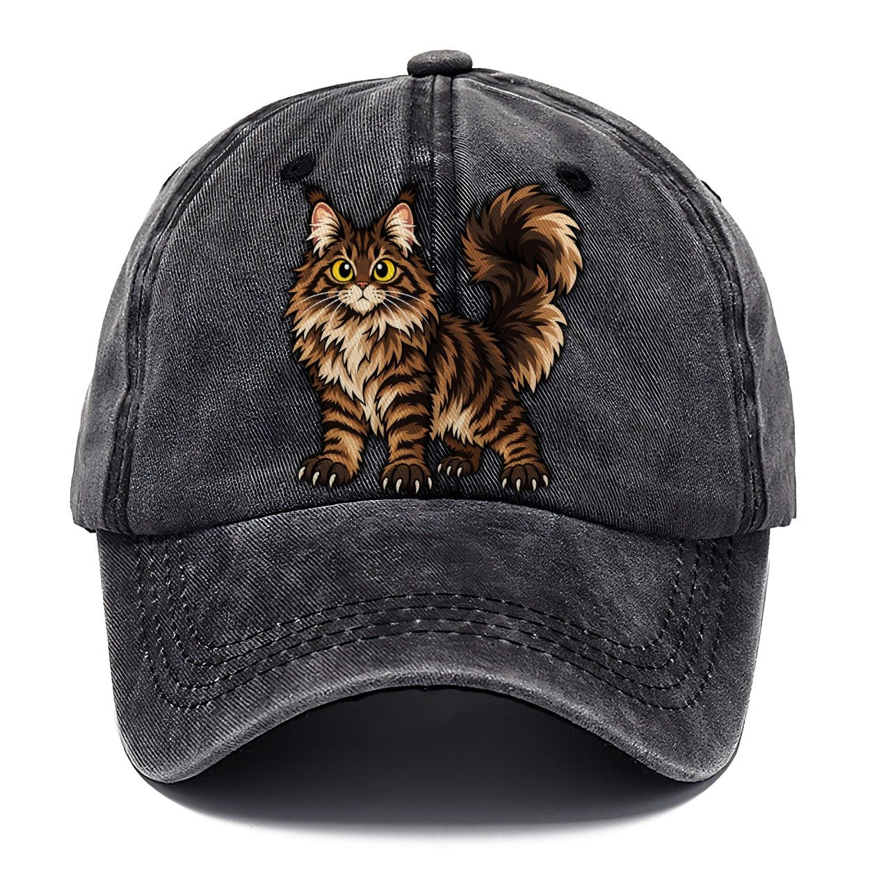Maine Coon Standing Proud Peeking Cats Classic Cap – Graphite