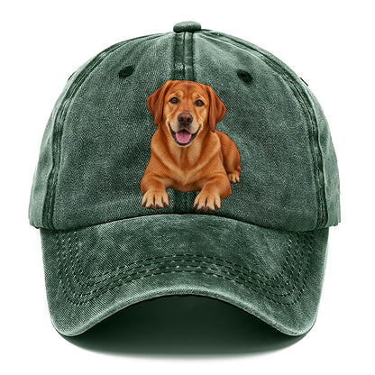 Fox Red Labrador Classic Cap – Forest Mist
