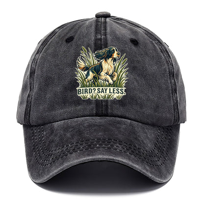 Bird Say Less Classic Cap – Graphite