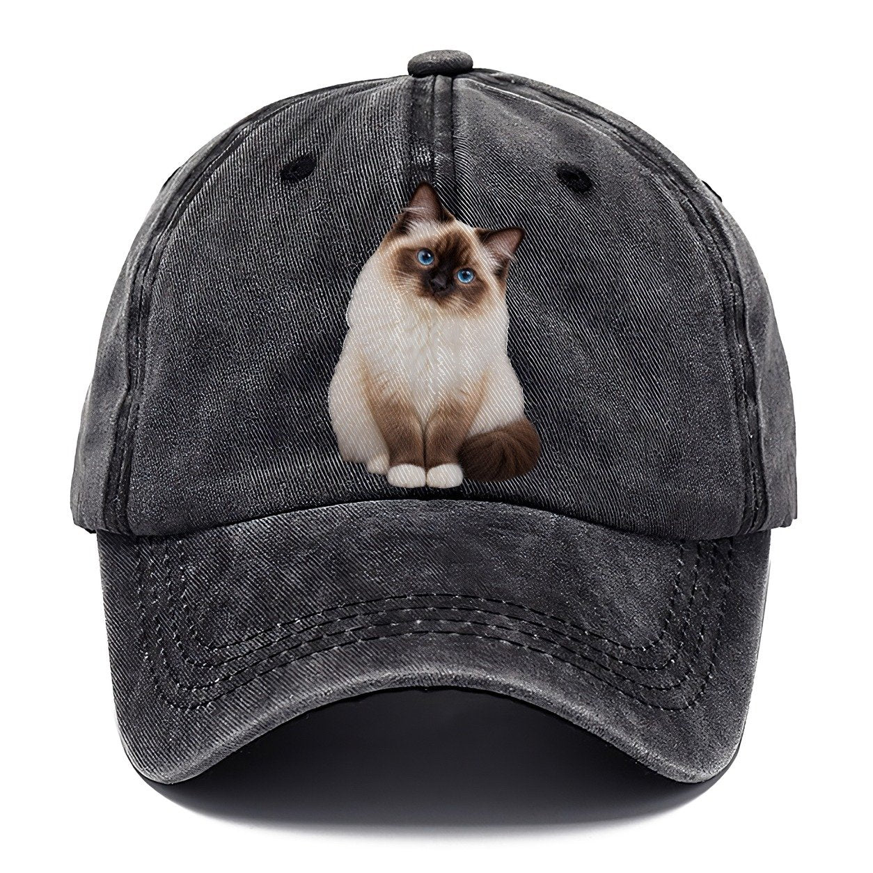 Birman Seated Portrait Realistic Cat Portrait Classic Cap – Graphite