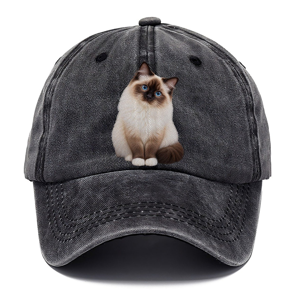 Birman Seated Portrait Realistic Cat Portrait Classic Cap – Graphite