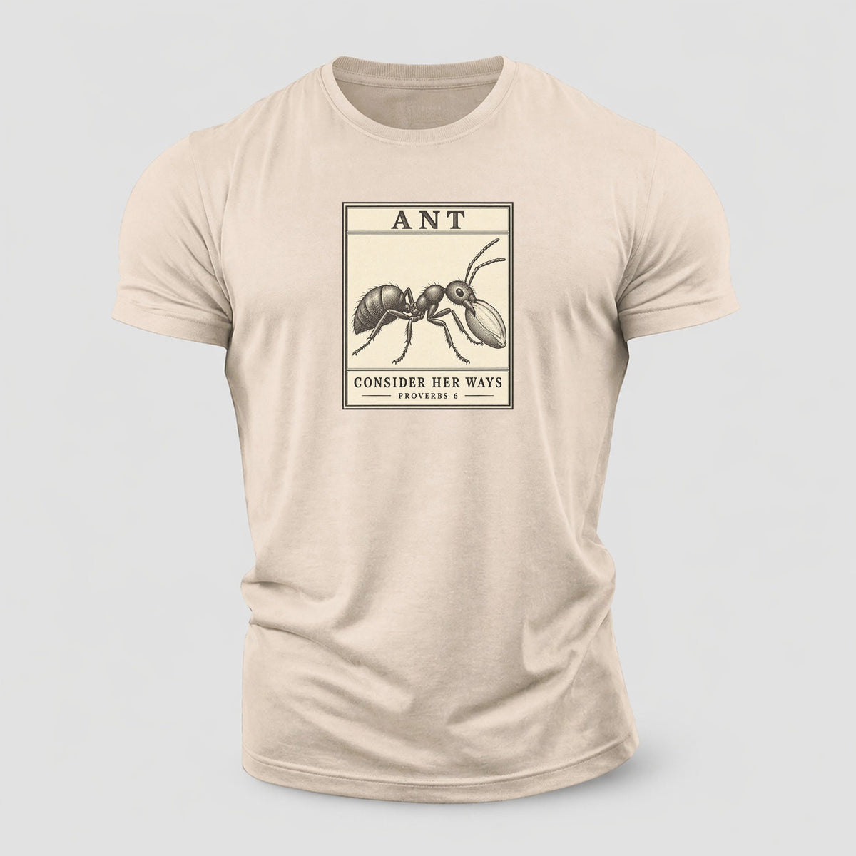 Ant Specimen Plate Creature Canticle Cotton T-Shirt – Sand