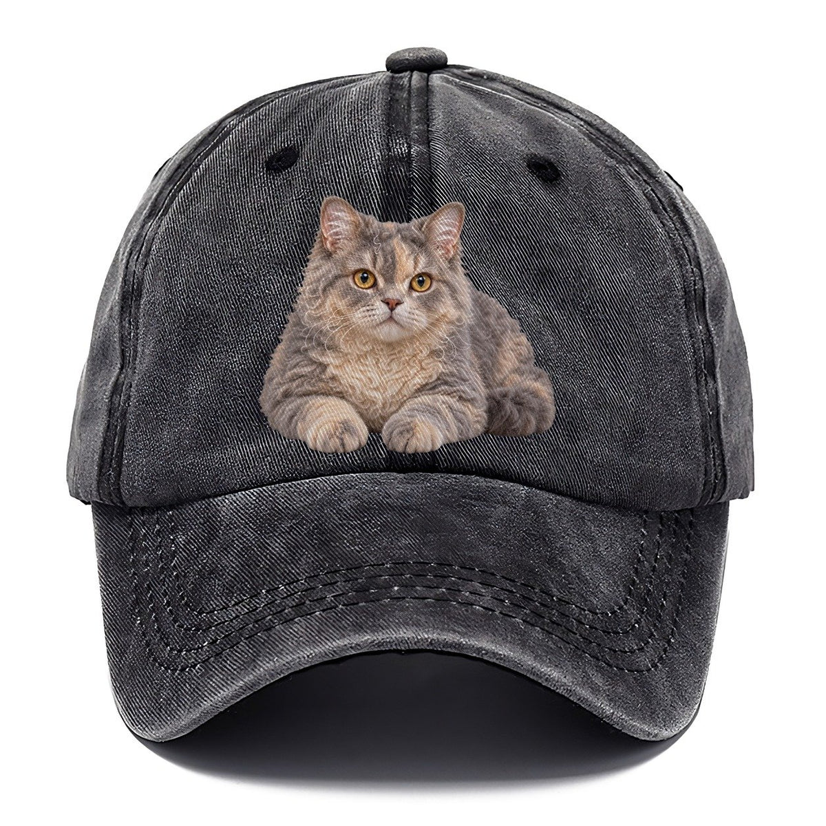 Selkirk Rex Reclining Paws Forward Realistic Cat Portrait Classic Cap – Graphite