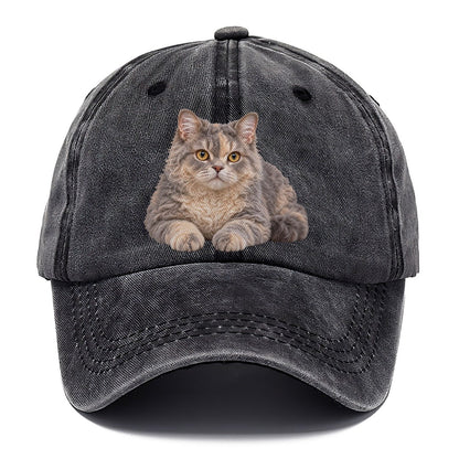 Selkirk Rex Reclining Paws Forward Realistic Cat Portrait Classic Cap – Graphite