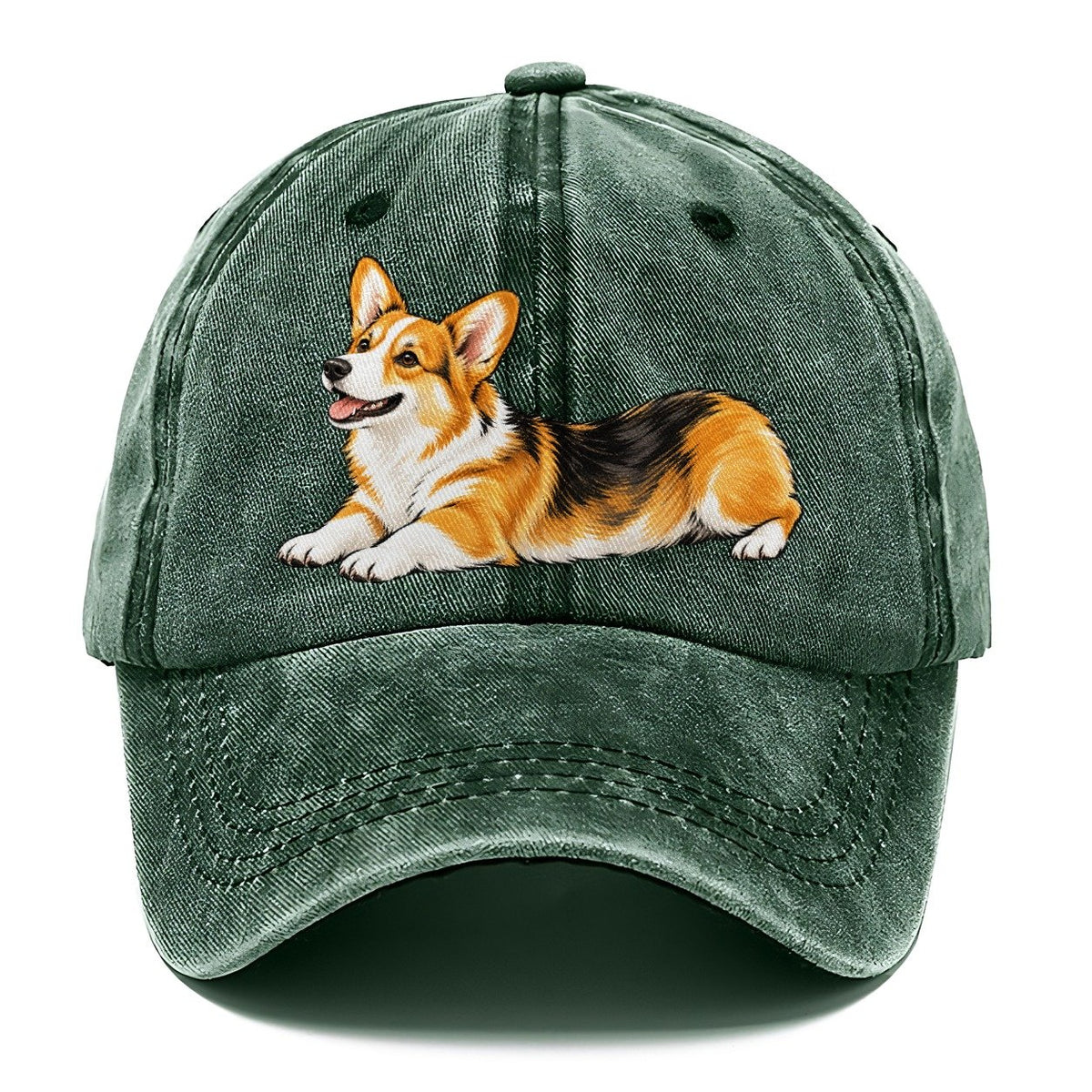 Lying Corgi Classic Cap – Forest Mist
