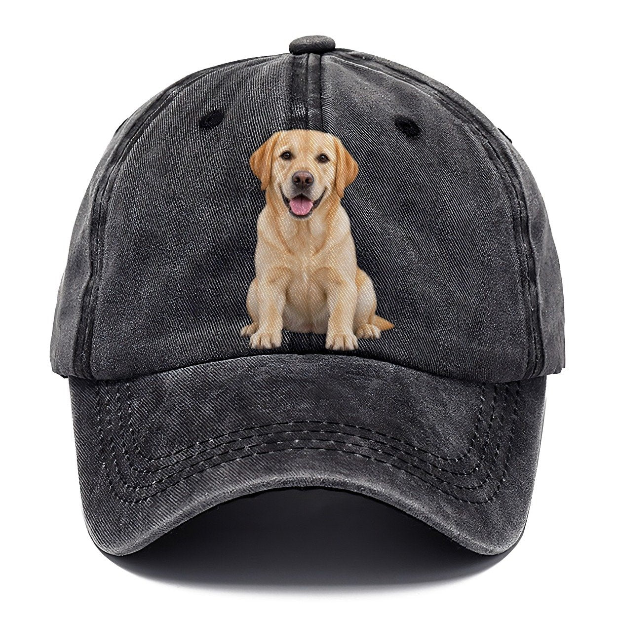 Labrador Retriever Sitting Top Breeds Classic Cap – Graphite