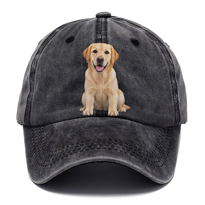 Labrador Retriever Sitting Top Breeds Classic Cap – Graphite