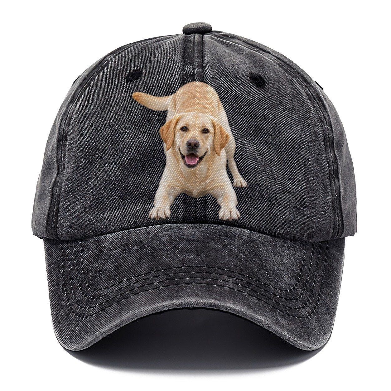 Labrador Retriever Play Bow Top Breeds Classic Cap – Graphite