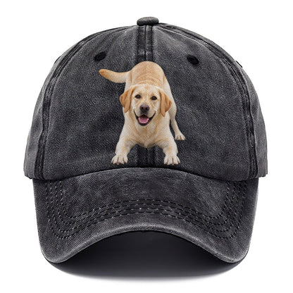 Labrador Retriever Play Bow Top Breeds Classic Cap – Graphite