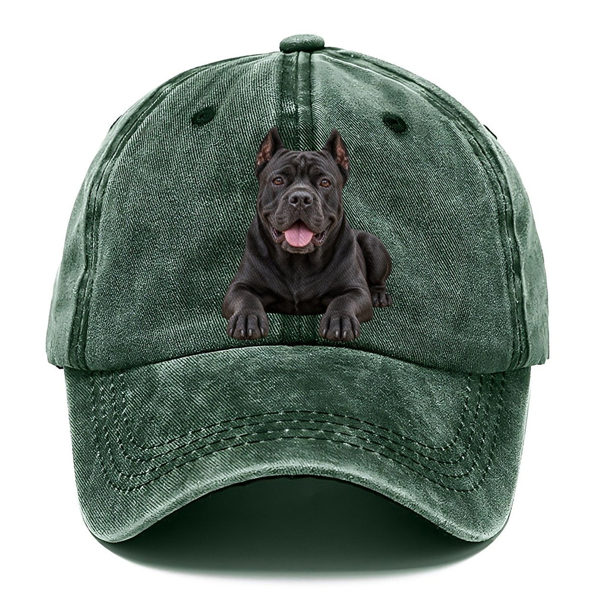 Cane Corso Lying Down Top Breeds Classic Cap – Forest Mist