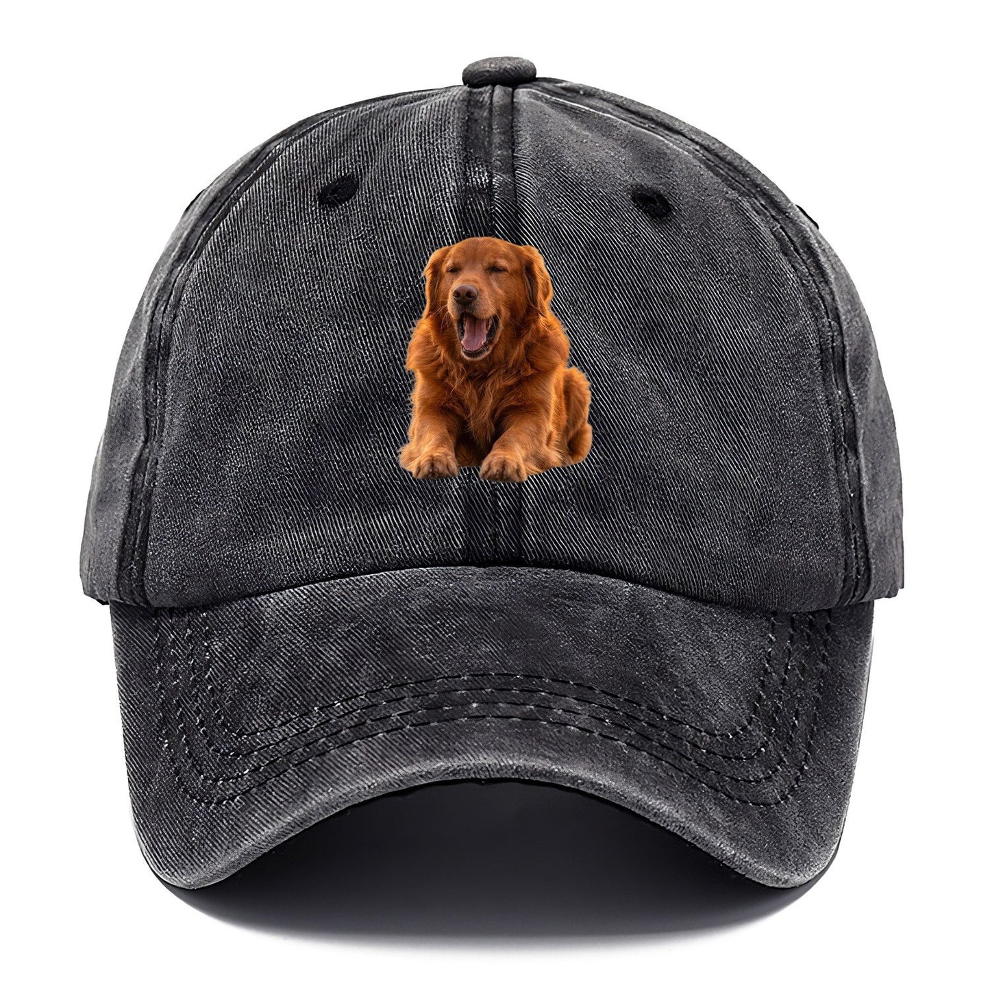 Golden Retriever Yawn Classic Cap – Graphite