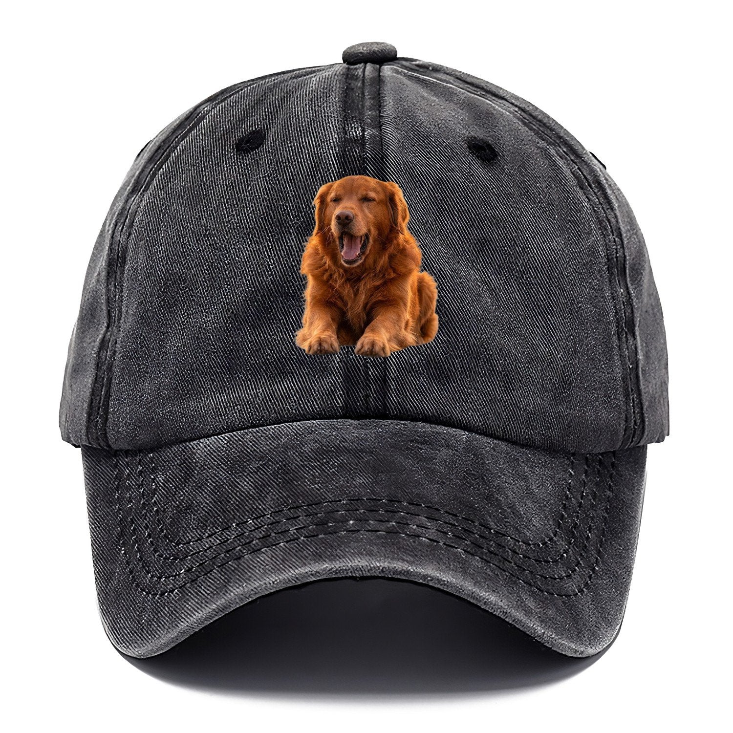 Golden Retriever Yawn Classic Cap – Graphite