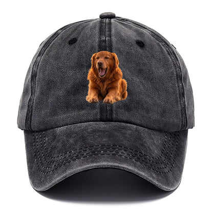 Golden Retriever Yawn Classic Cap – Graphite