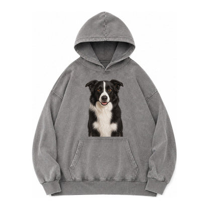 Border Collie Intelligent Companion Vintage Washed Hoodie – Grey