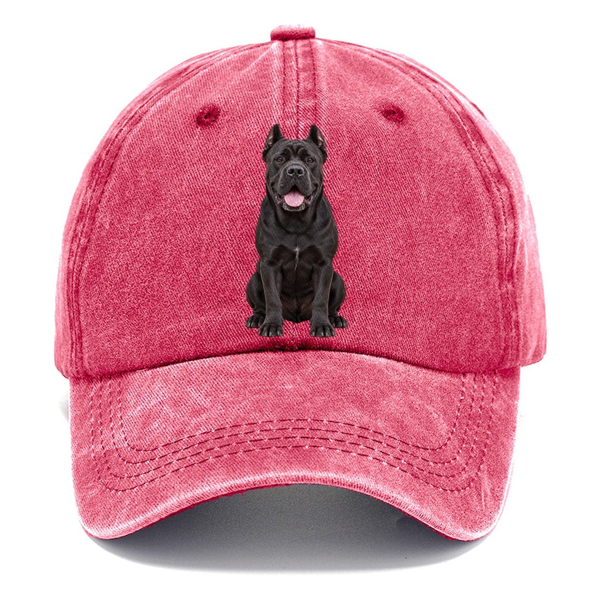 Cane Corso Sitting Top Breeds Classic Cap – Pomegranate Blush