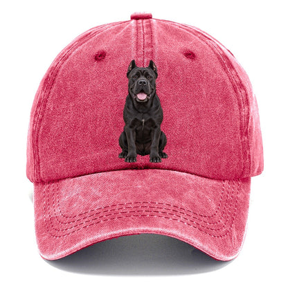 Cane Corso Sitting Top Breeds Classic Cap – Pomegranate Blush