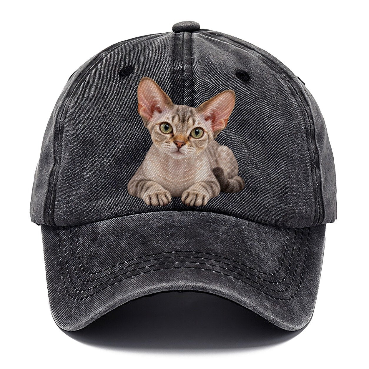 Devon Rex Reclining Paws Forward Realistic Cat Portrait Classic Cap – Graphite