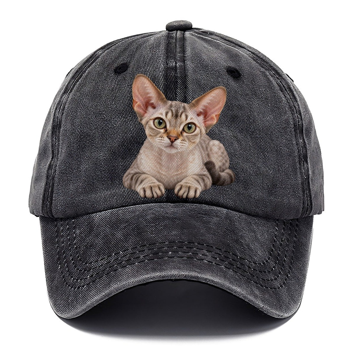 Devon Rex Reclining Paws Forward Realistic Cat Portrait Classic Cap – Graphite