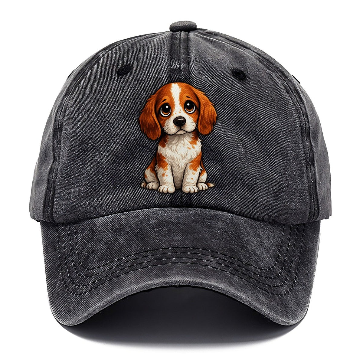 Brittany Sitting Sweetheart Classic Cap – Graphite