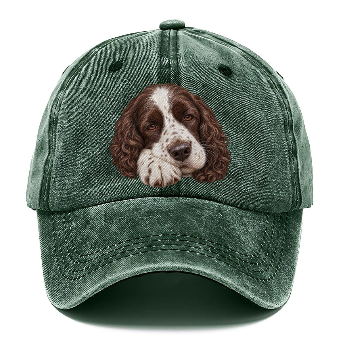 Springer Sleepy Paw Fold Pastimes Companions Classic Cap – Forest Mist