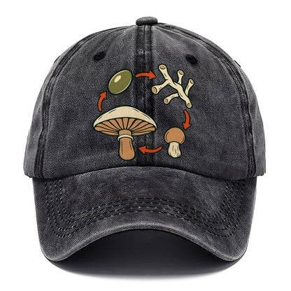 Fruiting Cycle Ring Foraging And Mycology Classic Cap – Graphite