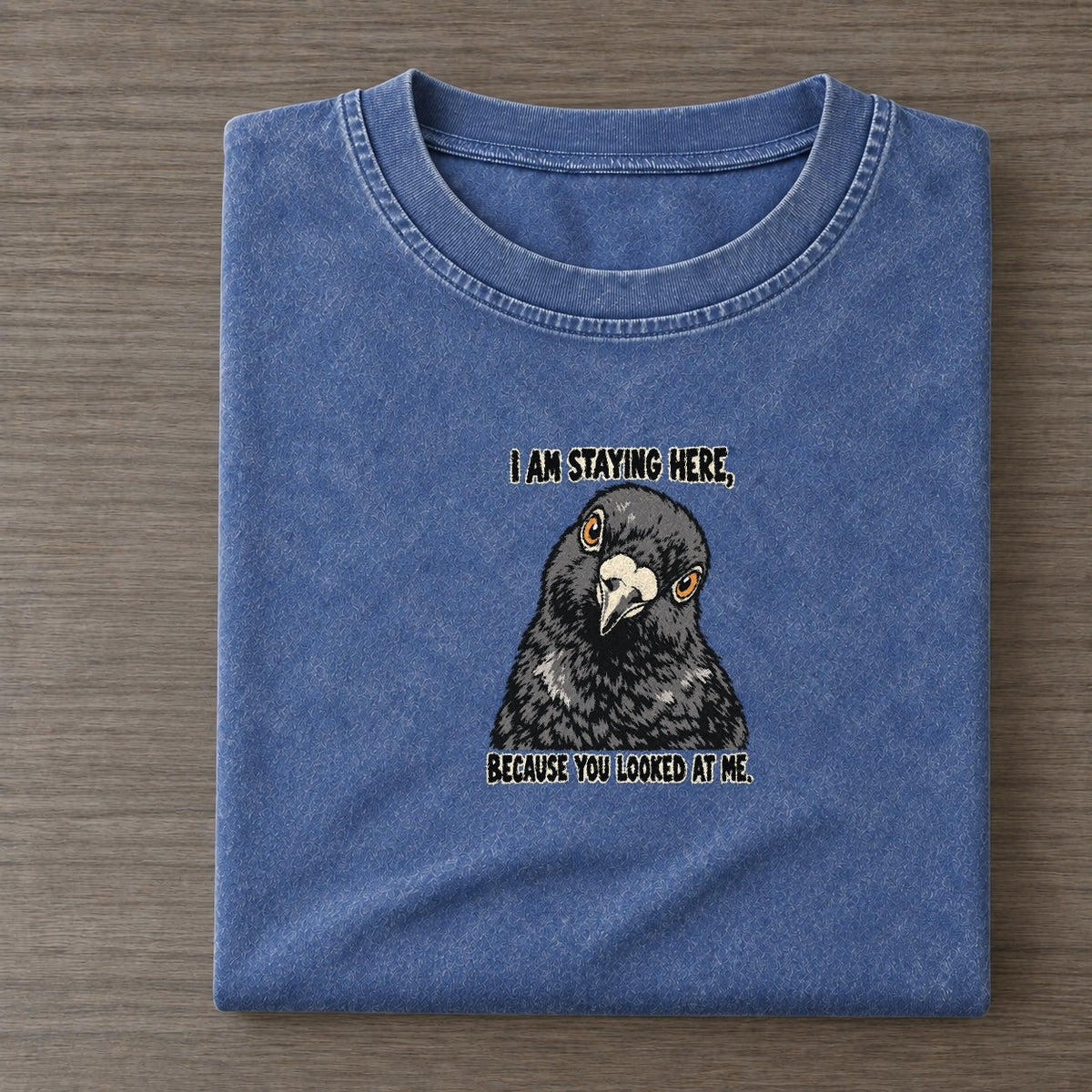 I Am Staying Here Feral Logic Vintage T-shirt – Washed Blue