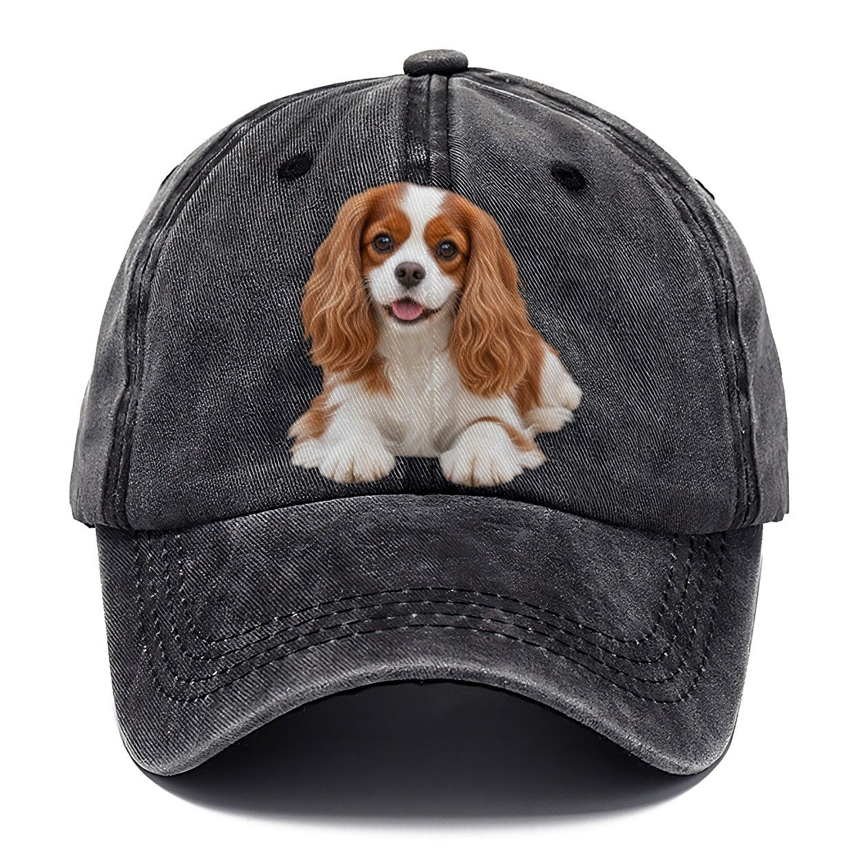 Cavalier King Charles Spaniel Lying Down Top Breeds Classic Cap – Graphite