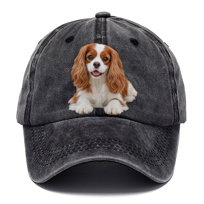 Cavalier King Charles Spaniel Lying Down Top Breeds Classic Cap – Graphite