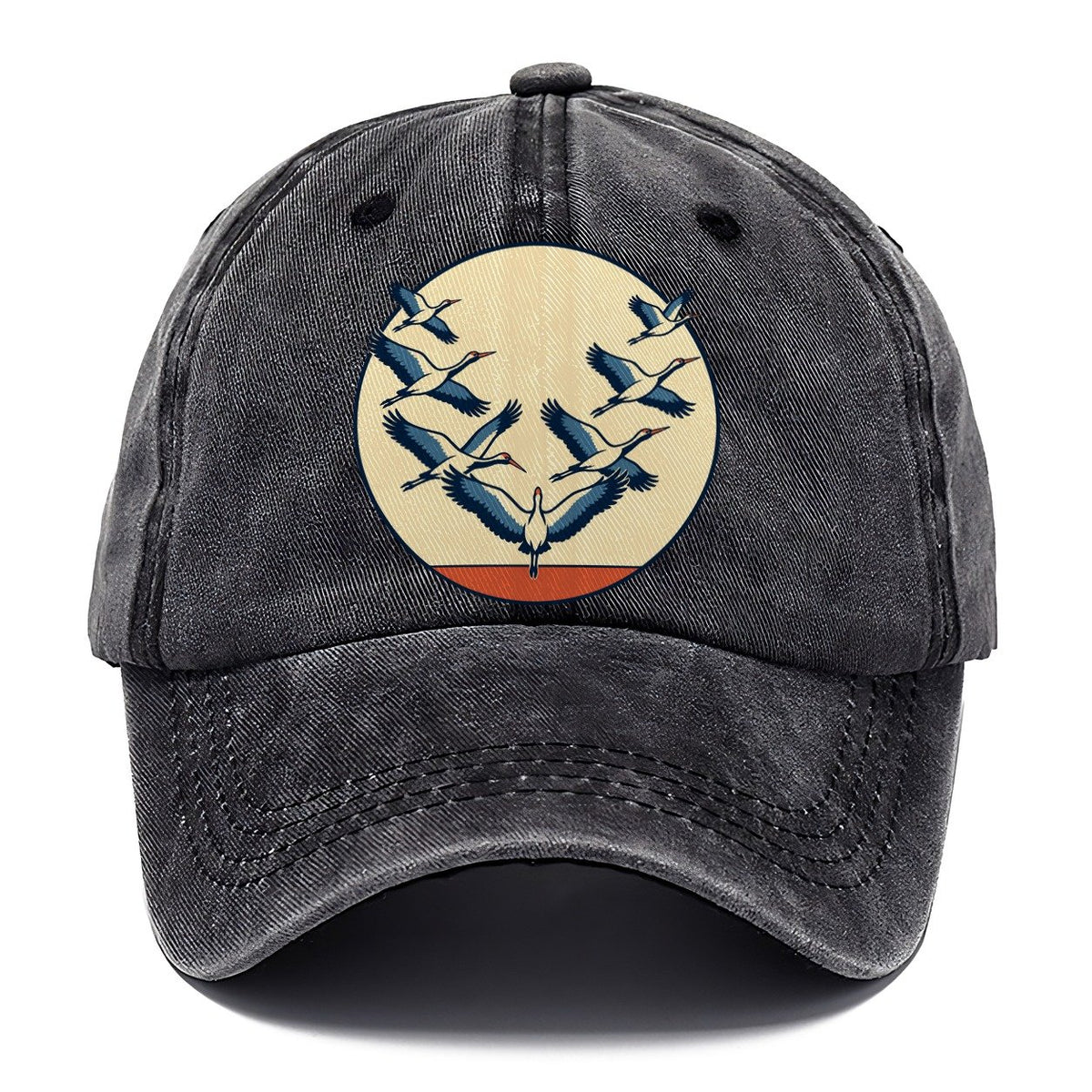 Migration Formation Birdwatching Classic Cap – Graphite