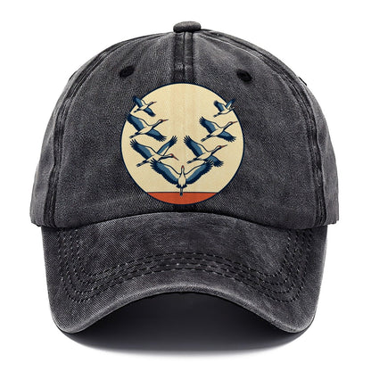 Migration Formation Birdwatching Classic Cap – Graphite