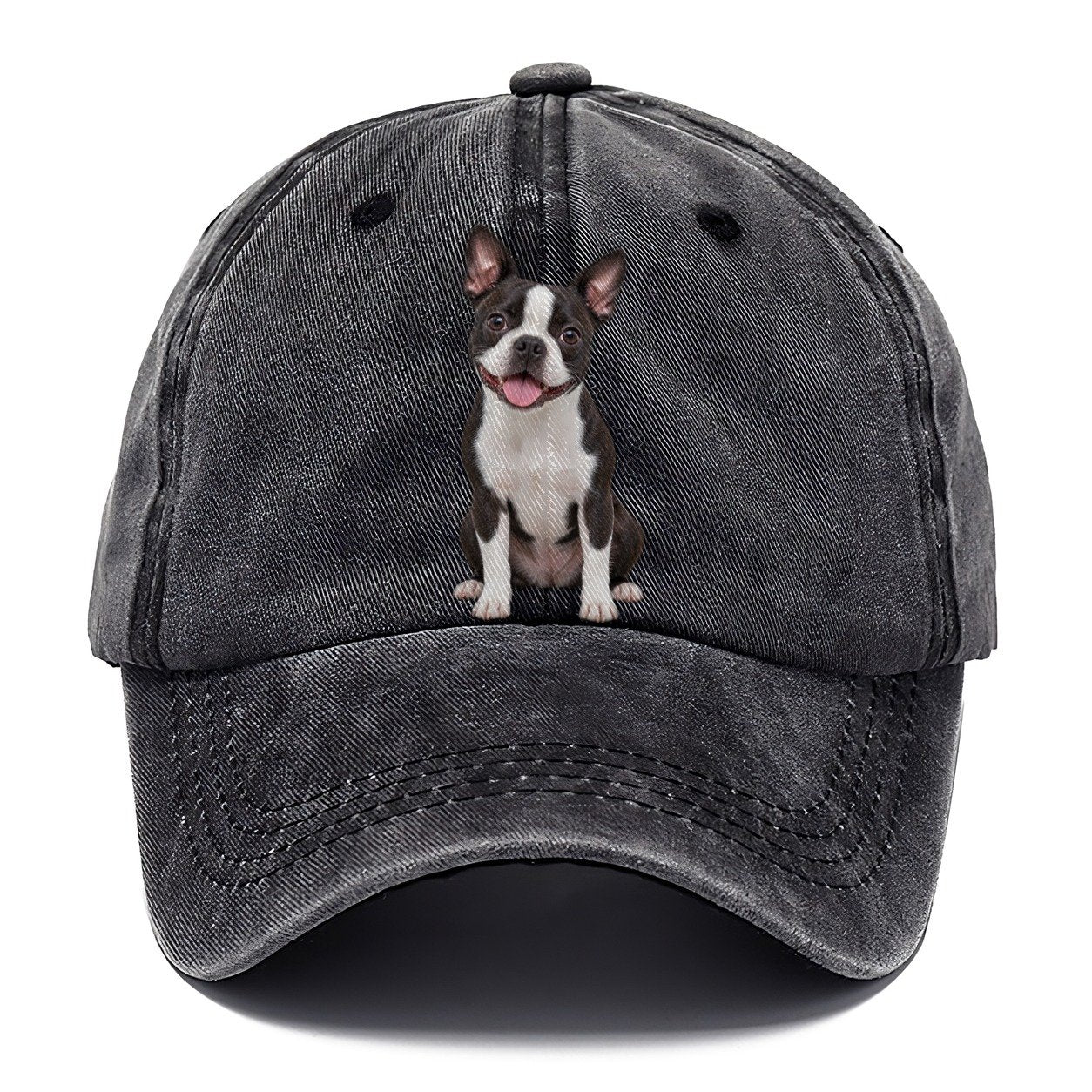 Boston Terrier Sitting Top Breeds Classic Cap – Graphite