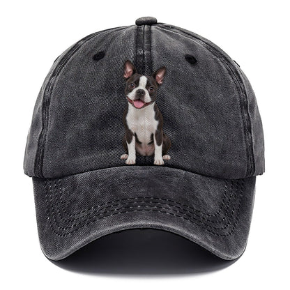 Boston Terrier Sitting Top Breeds Classic Cap – Graphite